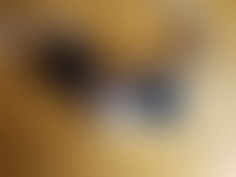 ミラーレス一眼レフ