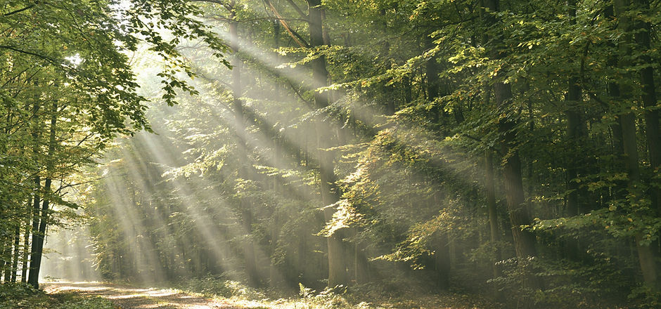 counselling hertfordshire