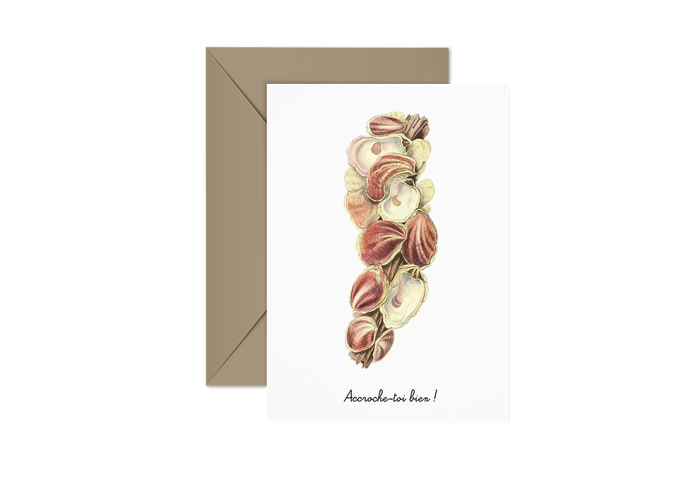 Miniature : "Accroche-toi bien"