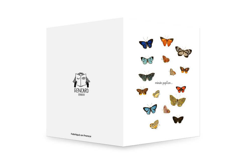 Miniature : "Minute papillon"