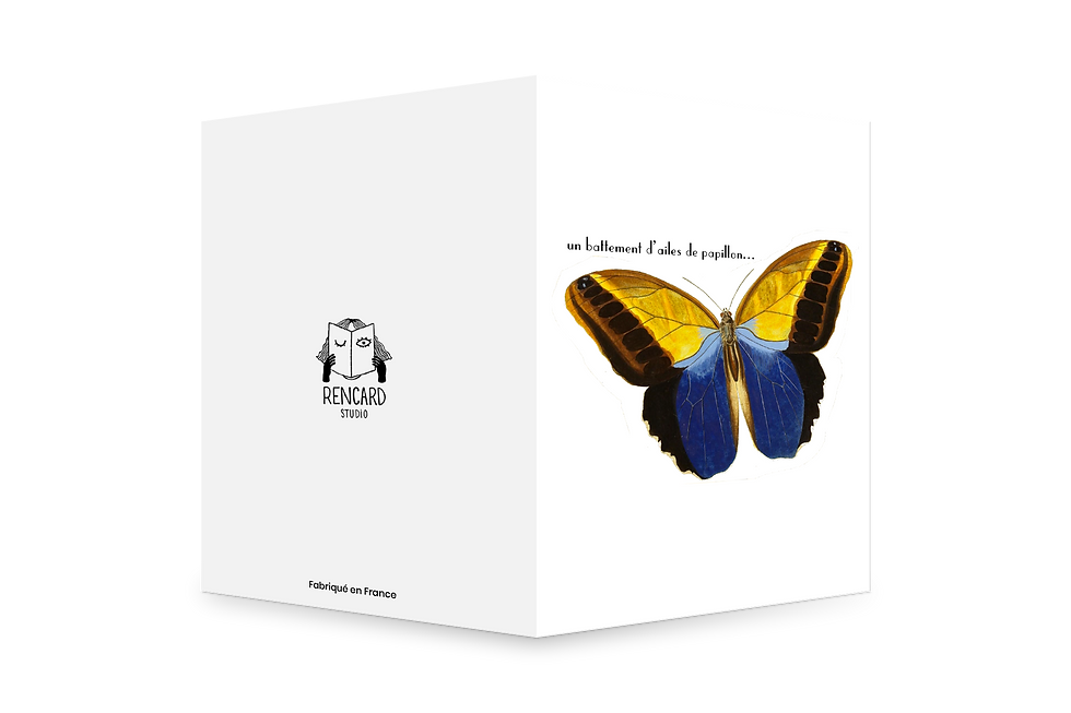 Miniature : "Battement d'ailes"
