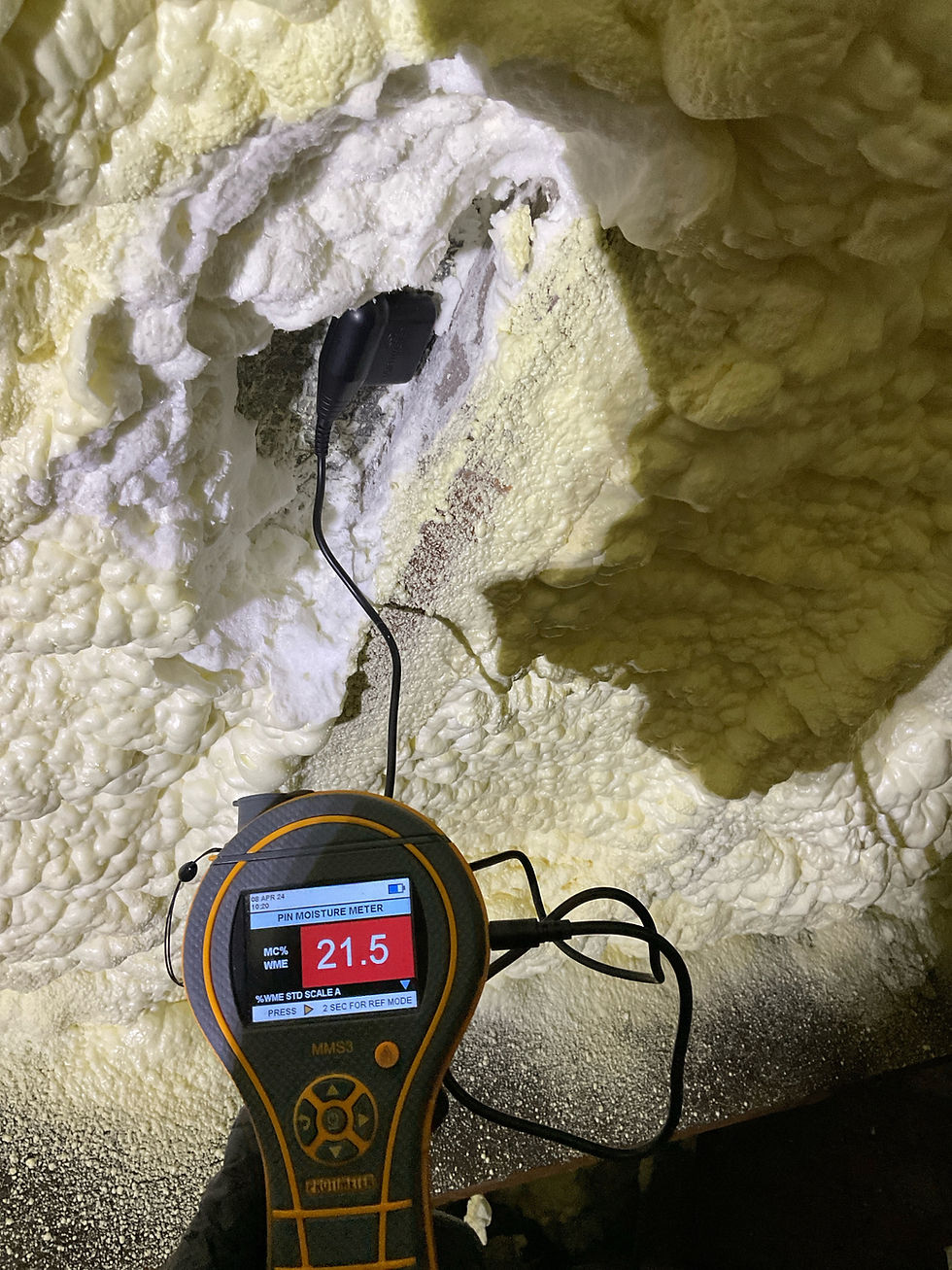 Spray Foam Surveys