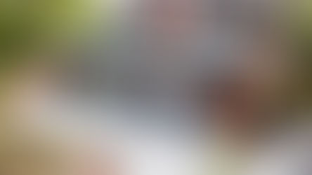 Architectural Design Services: Enhancing House Designs