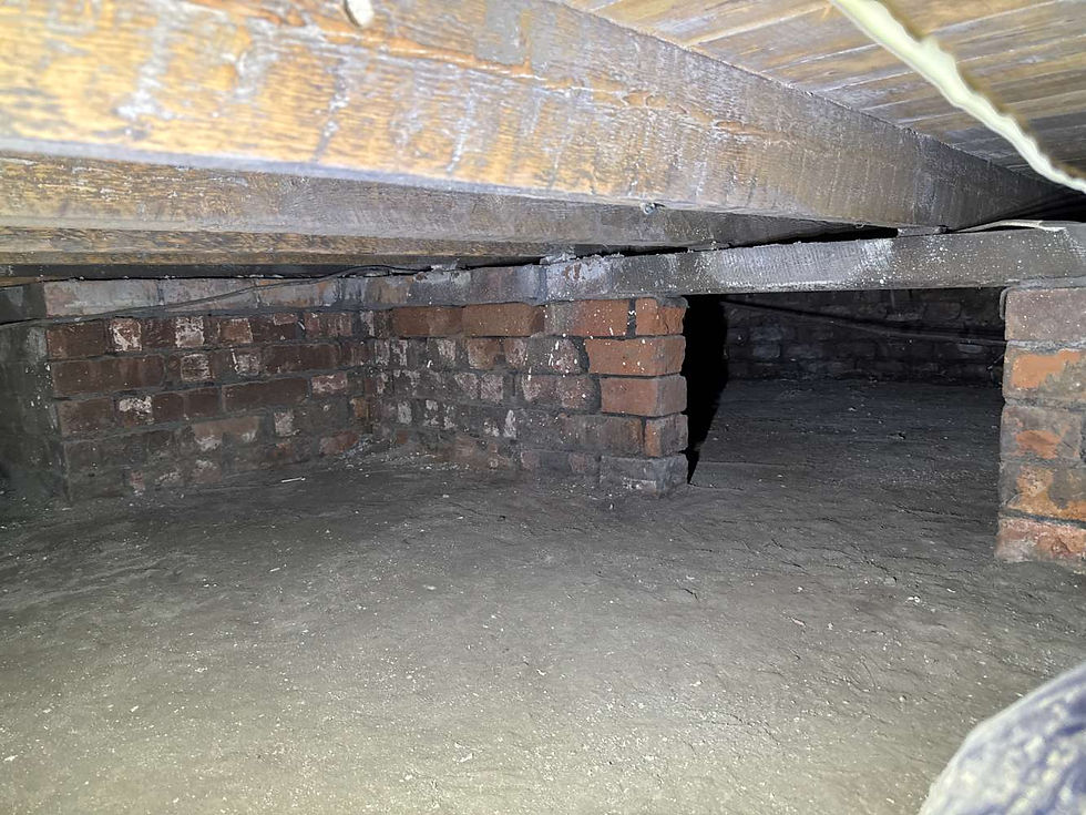 Suspended timber floor after good spray foam removal with joists exposed for independent inspection by an MRICS Chartered Building Surveyor