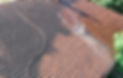 1024px-Low_Pressure_Roof_Washing_edited.jpg