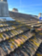 Toiture endommagée mousse