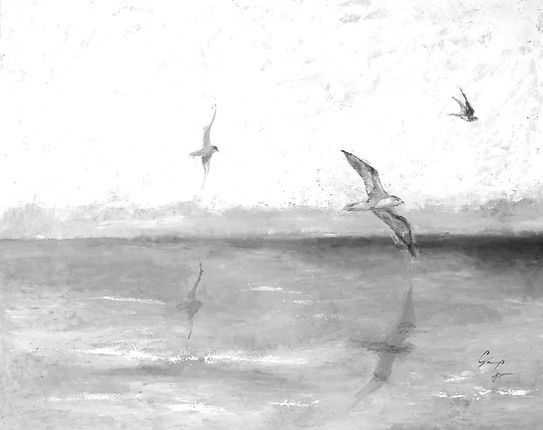 Flying Above the Sea _edited.jpg