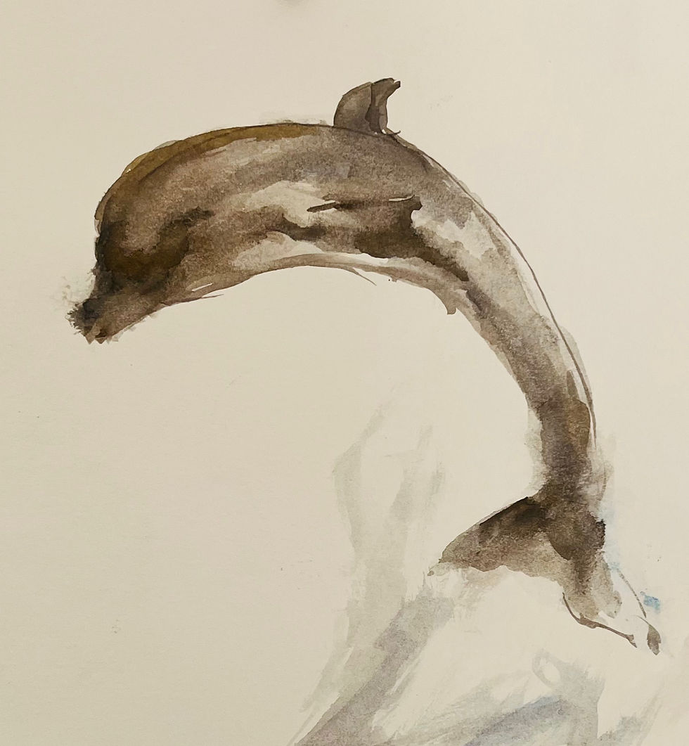 Thumbnail: Dolphin
