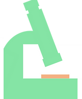 micros.webp