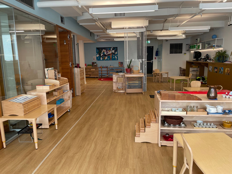 blue montessori school tour