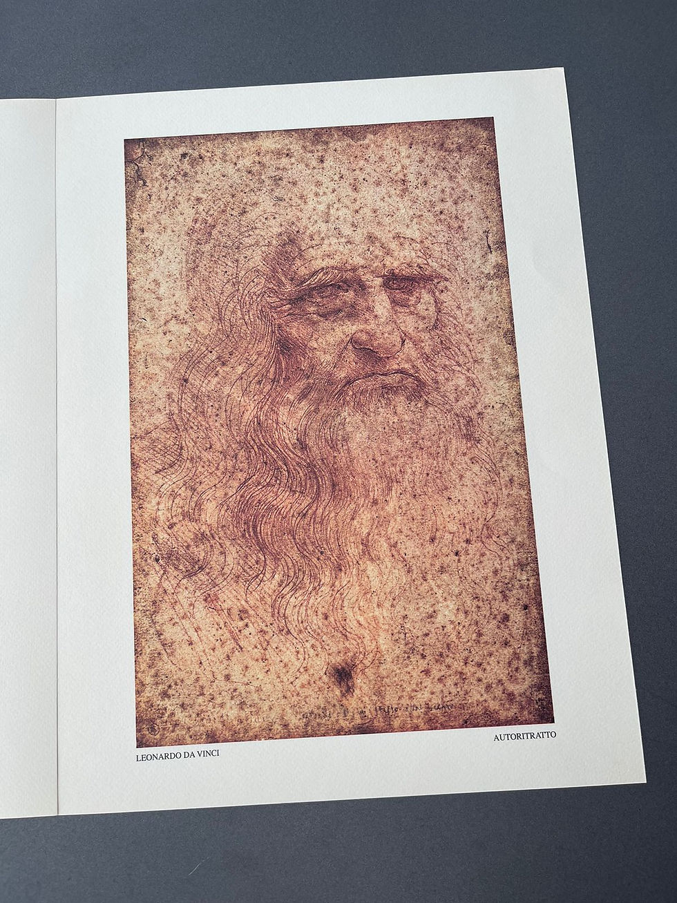 Thumbnail: Stampe da collezione Leonardo da vinci