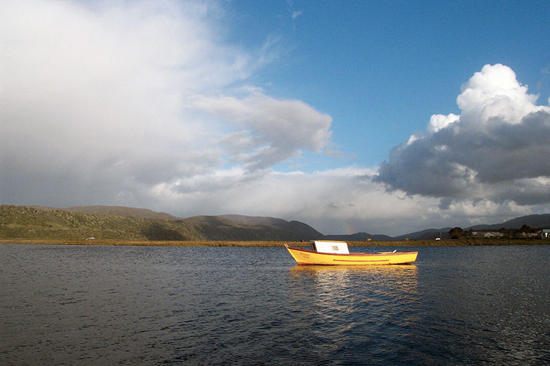 Miniatura: ROBERTO PANICHINE