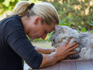 Communication animale vs communication intuitive : Corinne Dupeyrat-Connexion intuitive