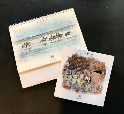 Arqana
Corinne Dupeyrat
Art équestre
Portrait sur commande