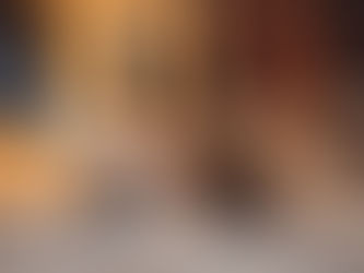 Communication animale : accompagner la fin de vie de nos compagnons