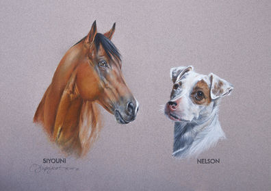 Siyouni & Nelson