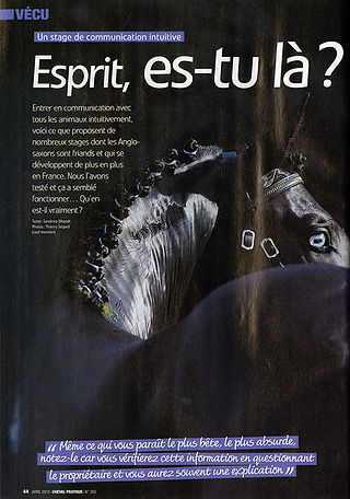 Esprit, es-tu là? Article équestre, photo cheval