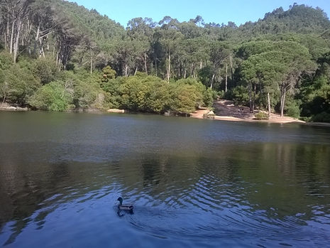 Picnicking in the best of Sintra