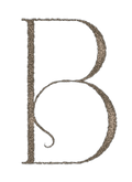 botaneity new logo 2024 small_edited.png