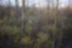 HABITAT MANAGEMENT