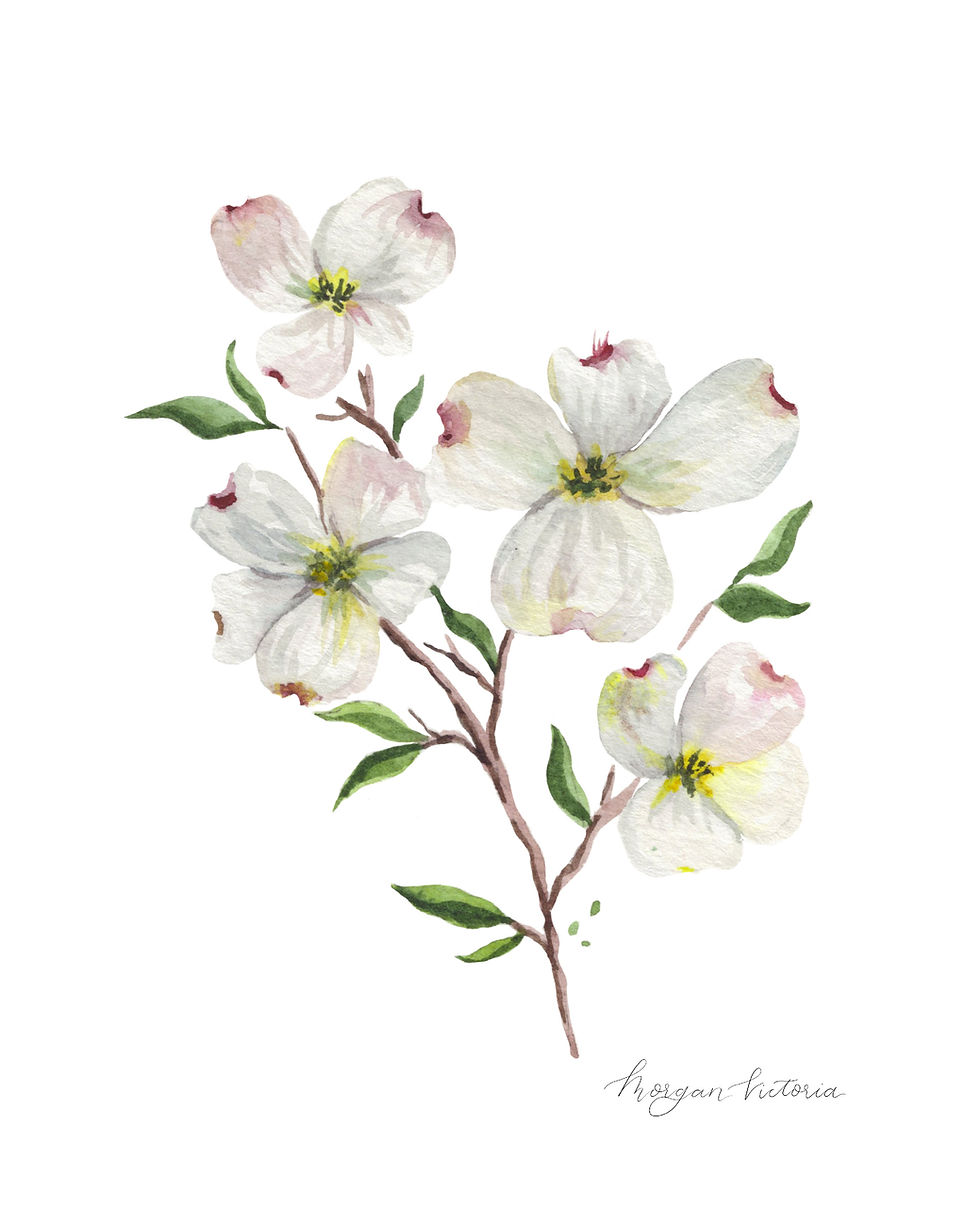 Thumbnail: Dogwood Flower Watercolor Art Print