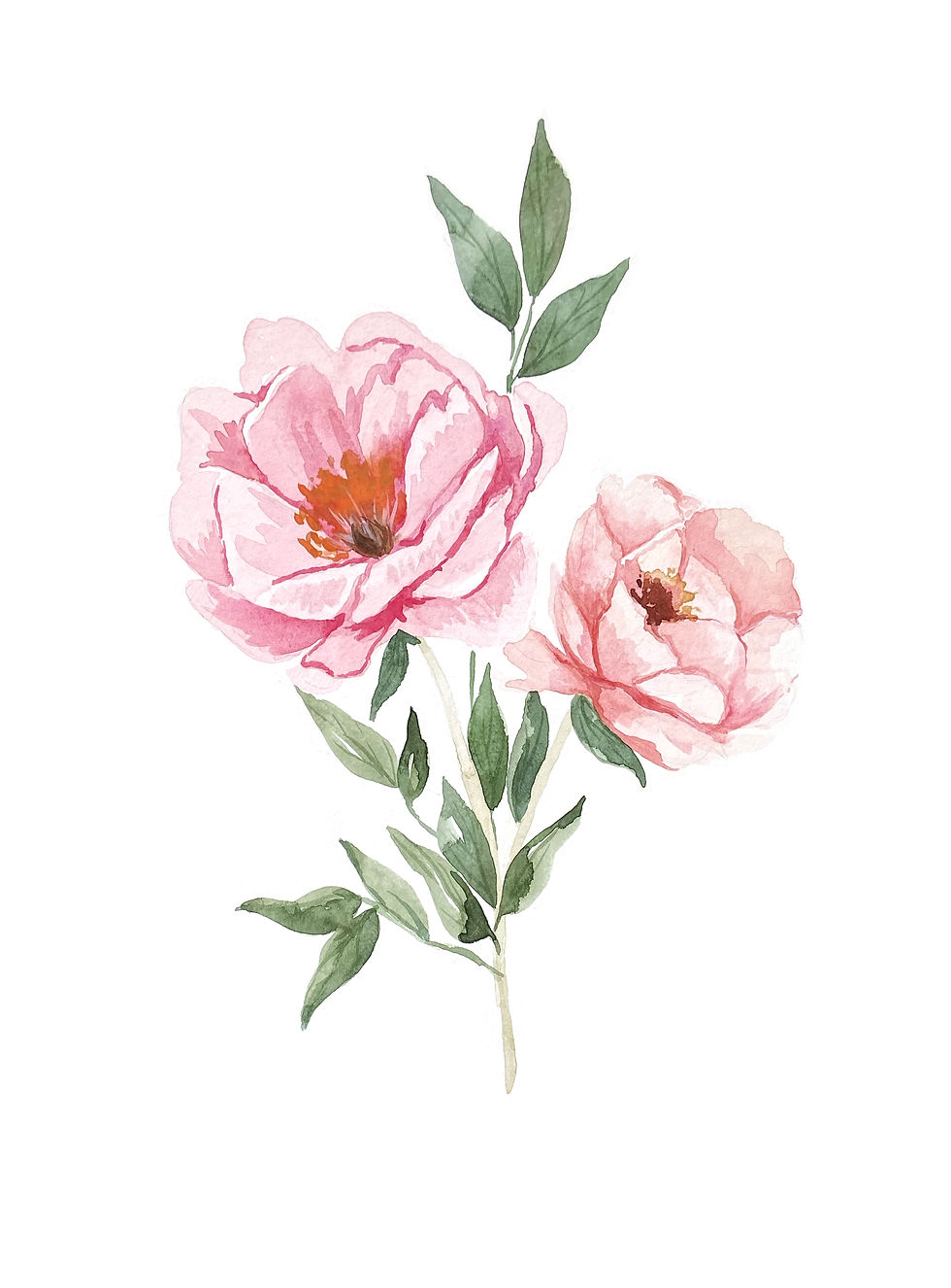 Thumbnail: Peony Flower Watercolor Art Print