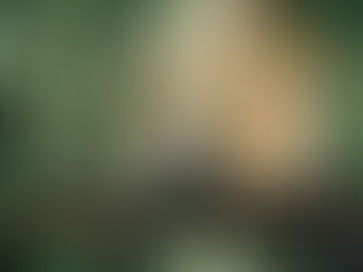 10YC ロケーション撮影