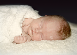 Griffin (4 weeks)