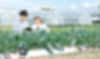 大学案内2022農学部トビラ写真_edited.jpg