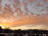 IMG_20211108_171537.jpg