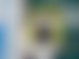 Historic England - Picturing Lockdown