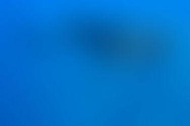Blue o Two announces charity partnership with Bite-Back