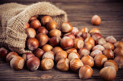 Noisettes du Lot et garonne