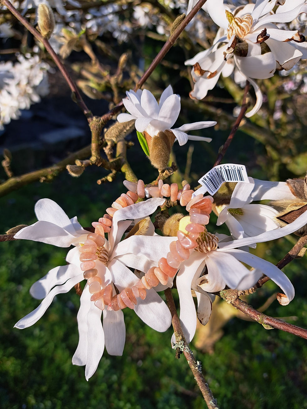 Bracelet Baroque Pierre de Lune Rose A
