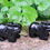 Miniature : Eléphant 50 mm Obsidienne Noire A