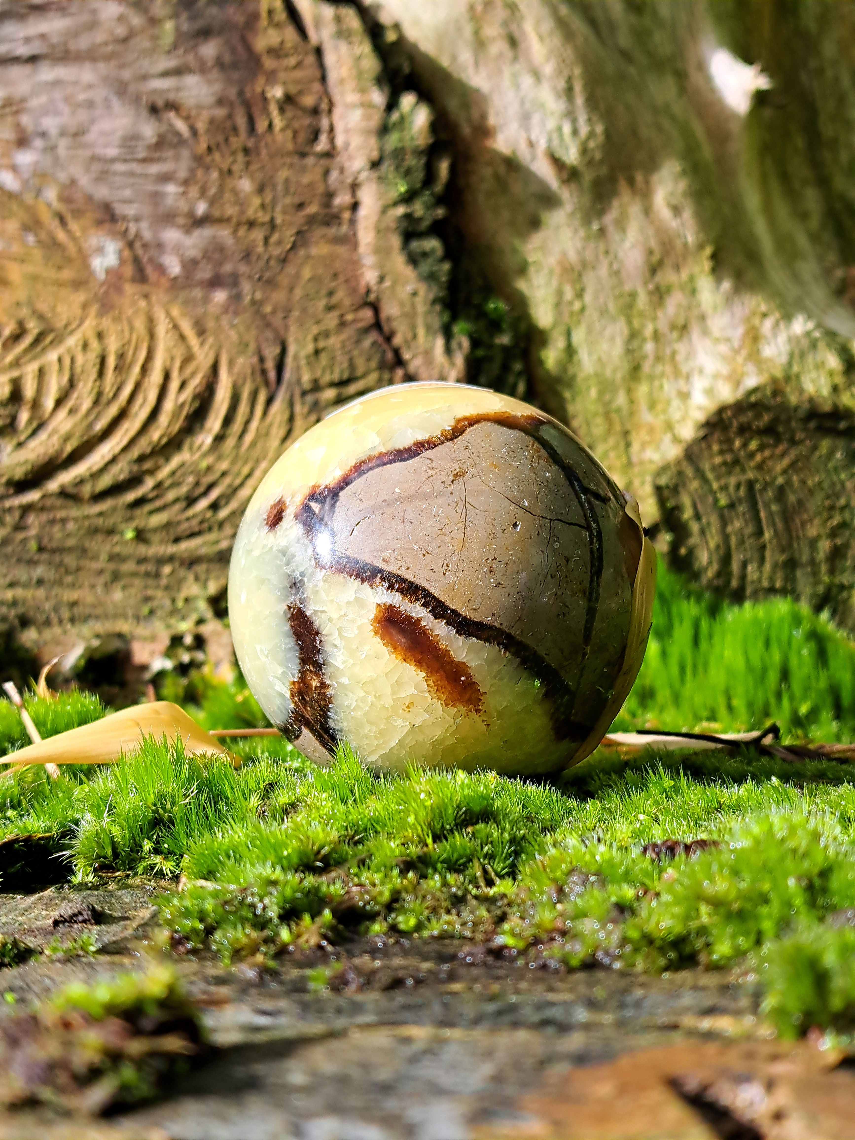 Sphère Septaria  A+ 60 à 70 mm