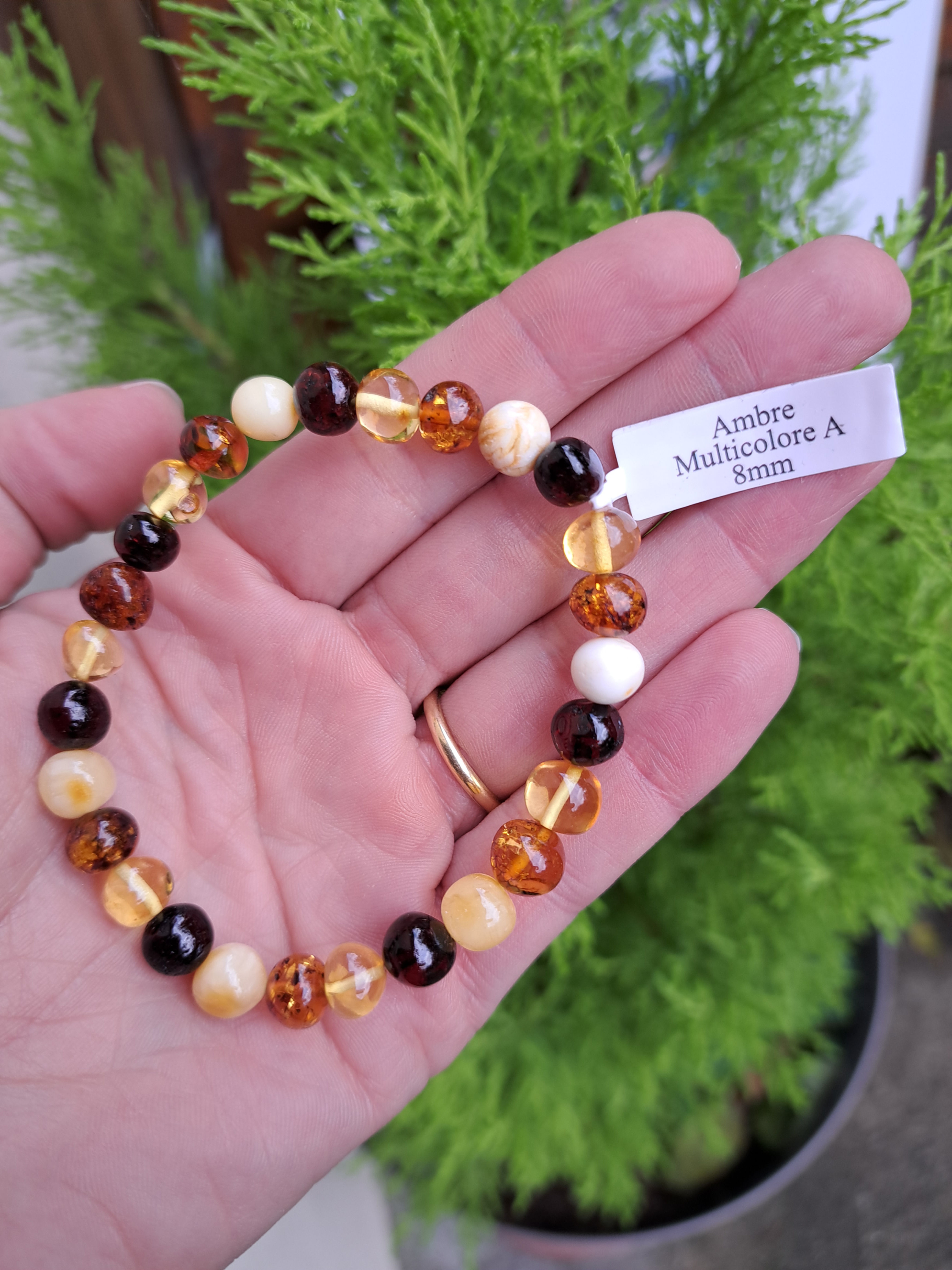 Bracelet Ambre Multicolore 8 mm A