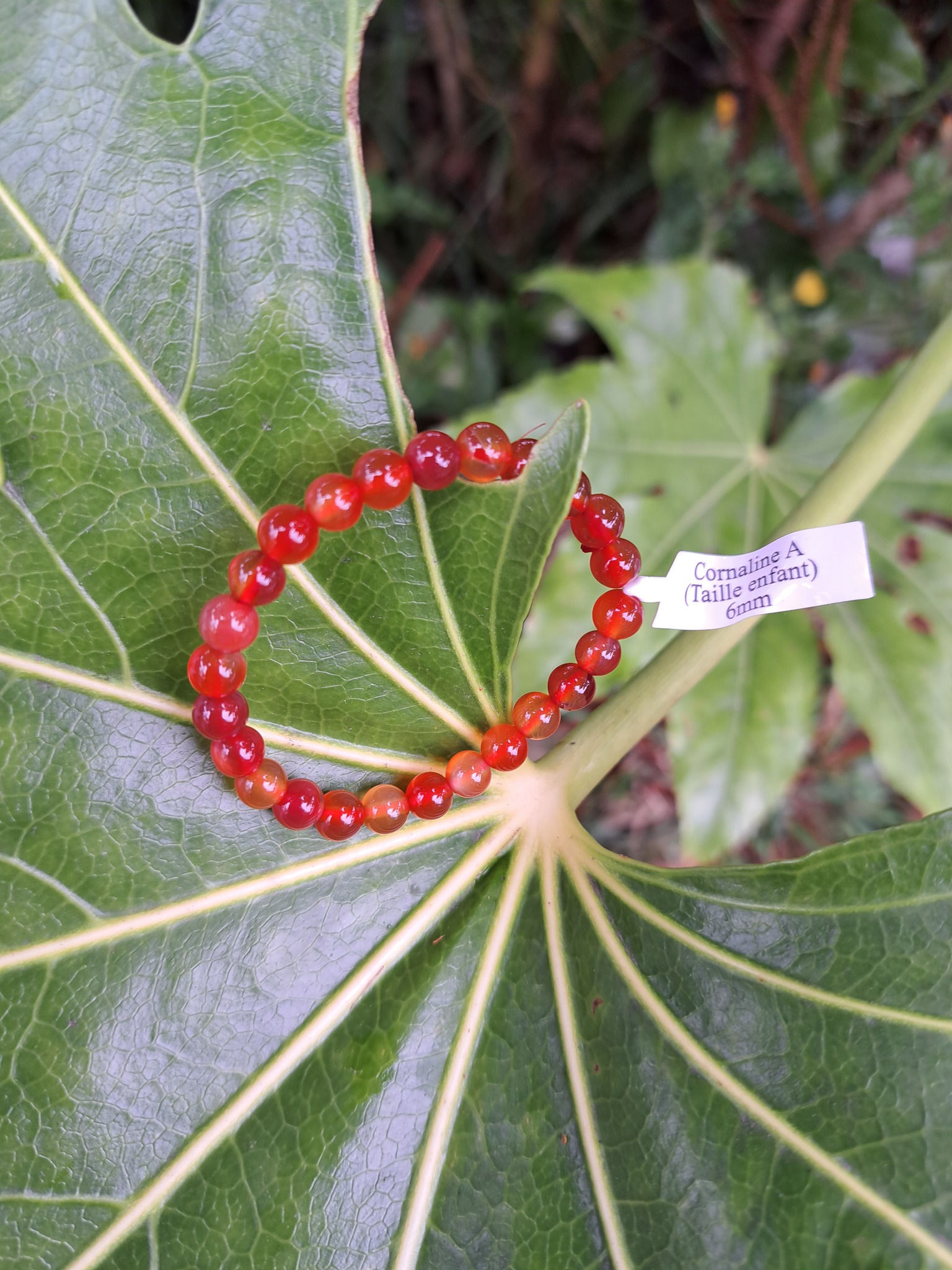 Bracelet Boule Cornaline A 6 mm
