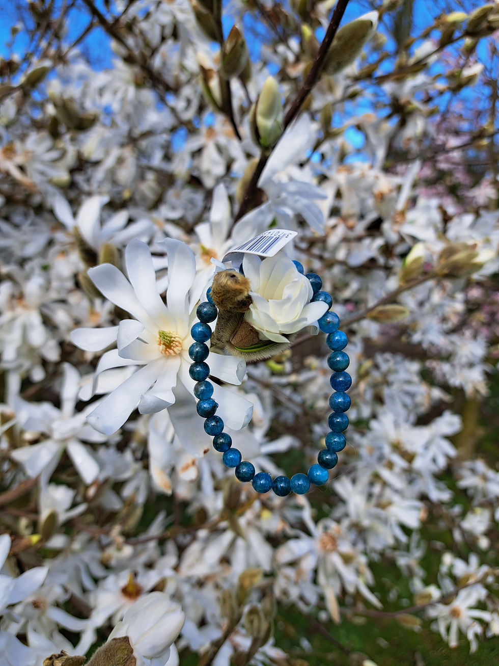 Bracelet Boule Apatite Bleue A+ 6 mm