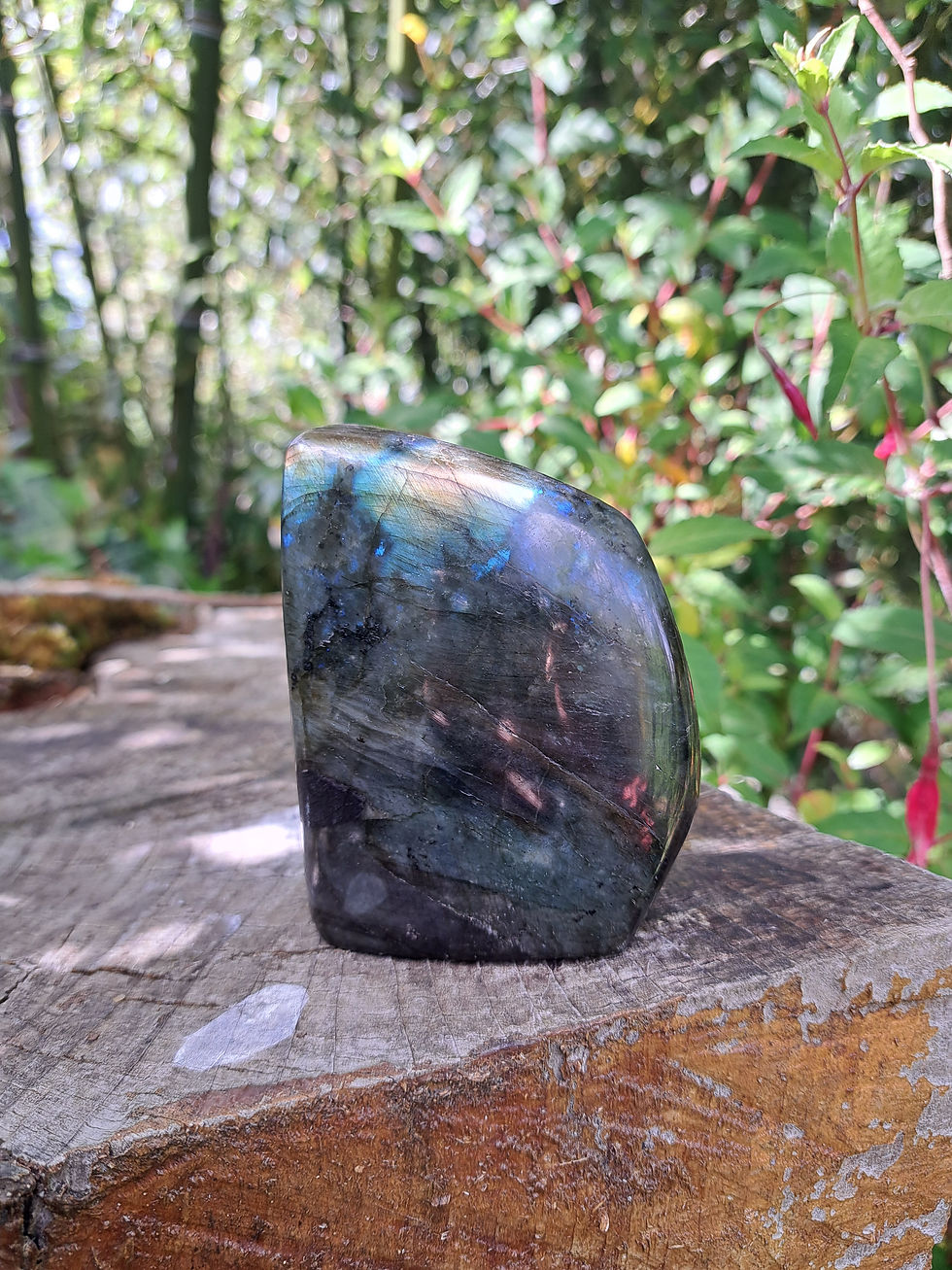 Miniature : Forme Libre Labradorite Bleue A 355 g