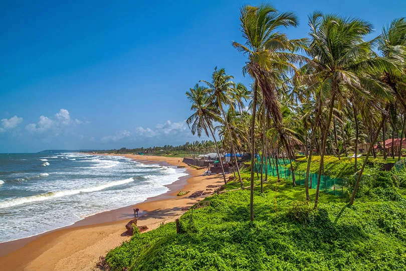 goa beach.webp