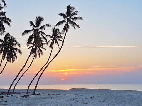 Arábia édenkertje - Salalah