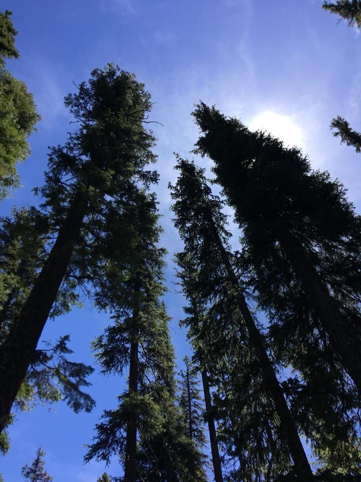 Oregon Adventures