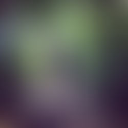 Enjoying time in transition - January 25th, 2021