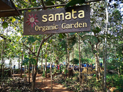 Time in the garden - December 7th, 2019