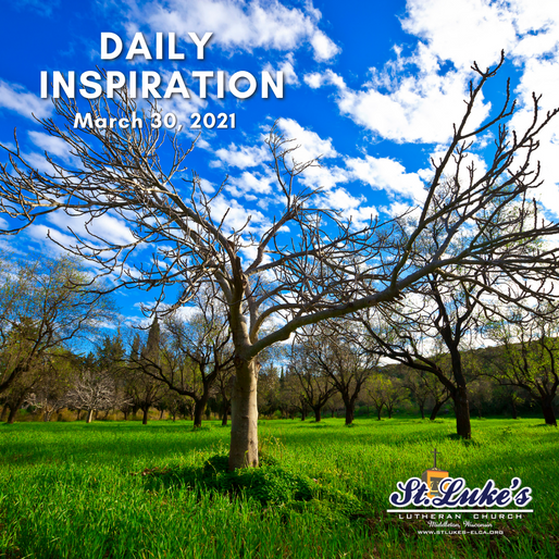 Daily Inspiration - March 30, 2021 | Holy Week