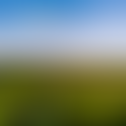 Daily Inspiration - October 1