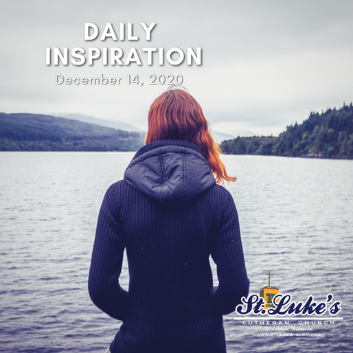 Daily Inspiration - December 14: Joy in Solitude