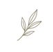logo gris_edited.png