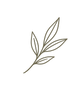 logo gris.png